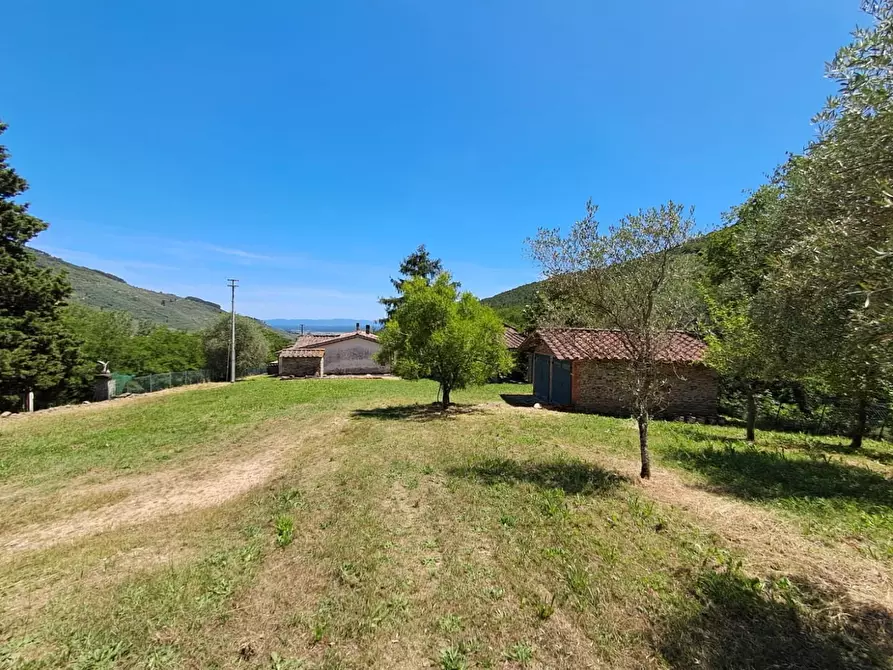 Immagine 20 di Rustico / casale in vendita  a Buti