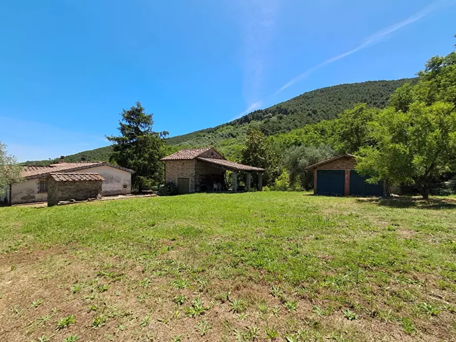 Immagine 1 di Rustico / casale in vendita  a Buti