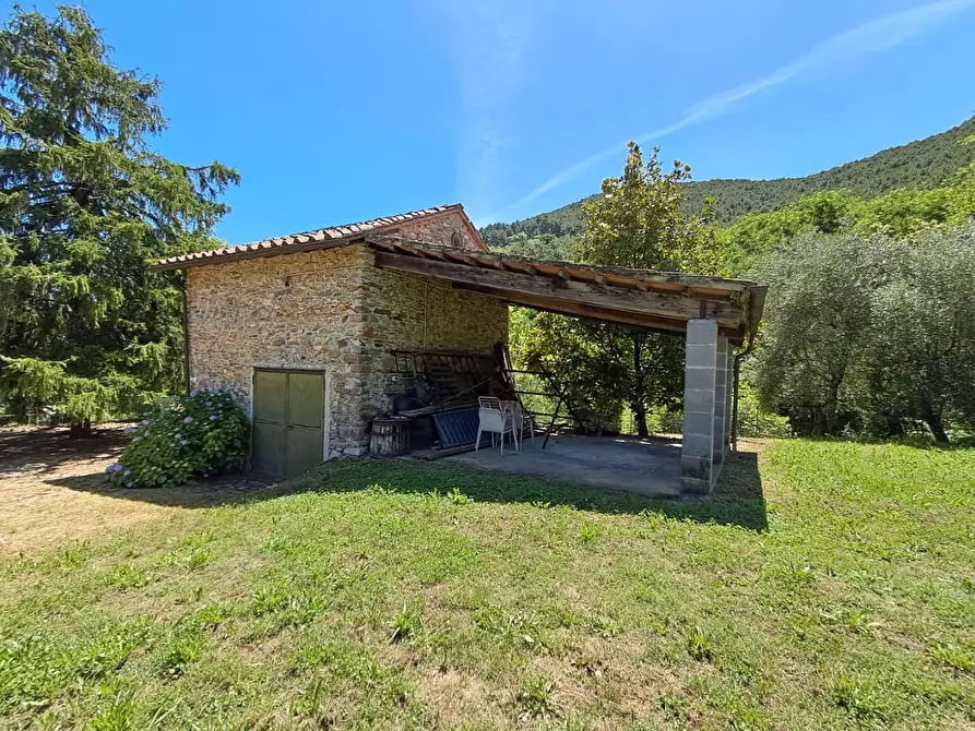 Immagine 47 di Rustico / casale in vendita  a Buti