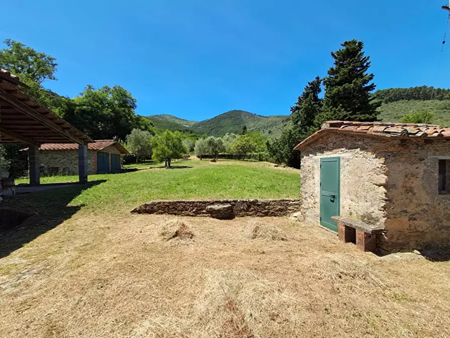Immagine 15 di Rustico / casale in vendita  a Buti