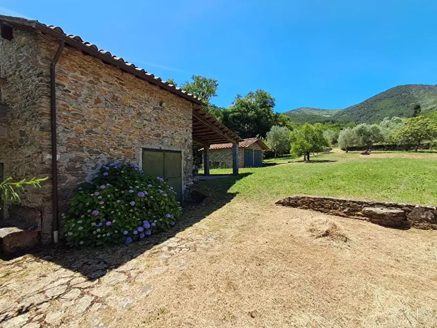 Immagine 10 di Rustico / casale in vendita  a Buti