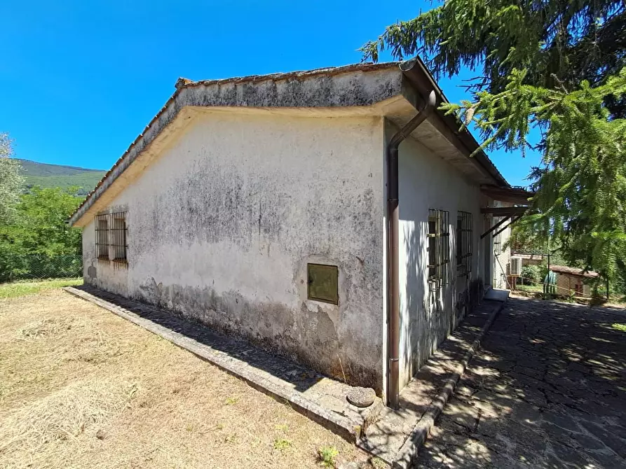 Immagine 4 di Rustico / casale in vendita  a Buti