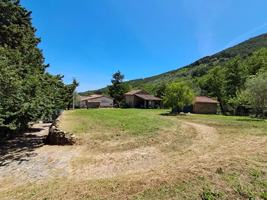 Immagine 77 di Rustico / casale in vendita  a Buti
