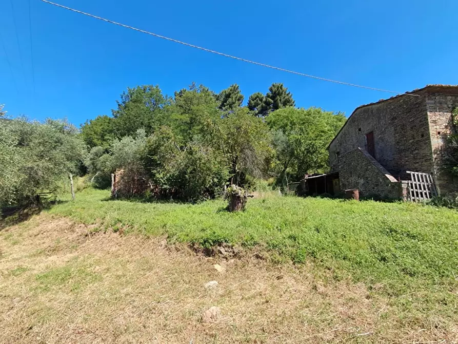 Immagine 7 di Rustico / casale in vendita  a Buti