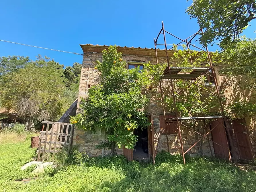 Immagine 2 di Rustico / casale in vendita  a Buti