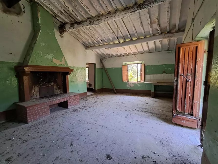 Immagine 14 di Rustico / casale in vendita  a Buti