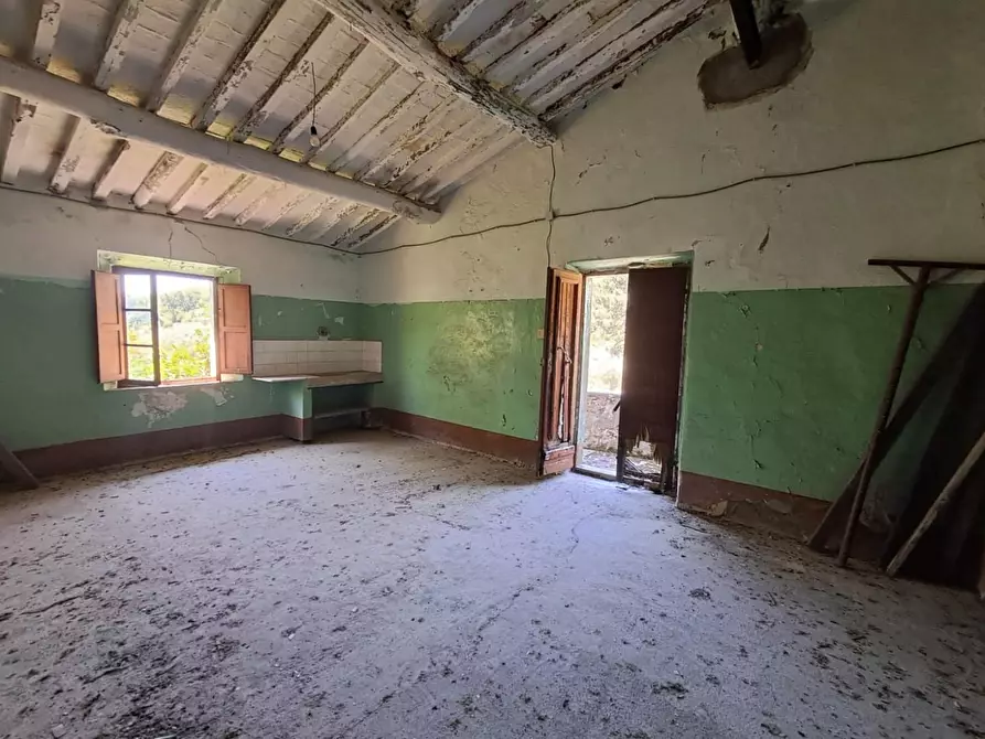 Immagine 18 di Rustico / casale in vendita  a Buti