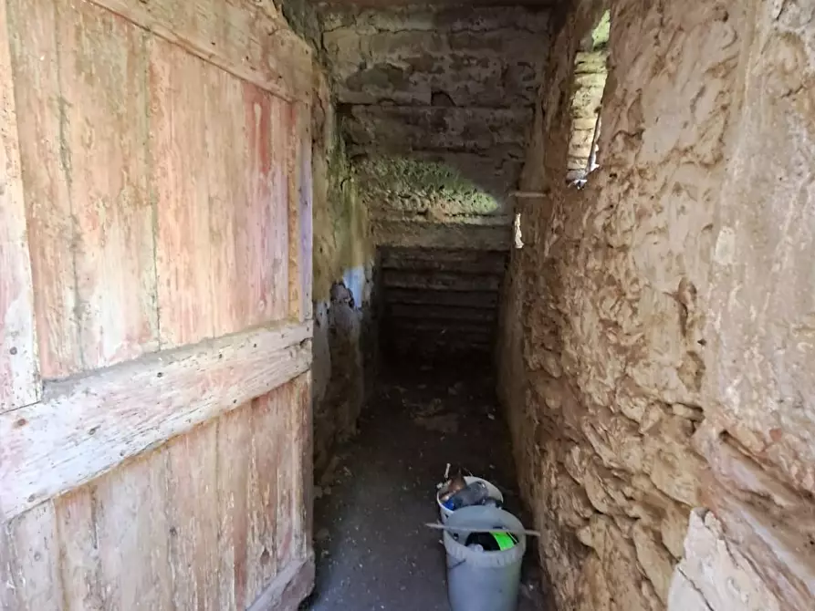 Immagine 27 di Rustico / casale in vendita  a Buti
