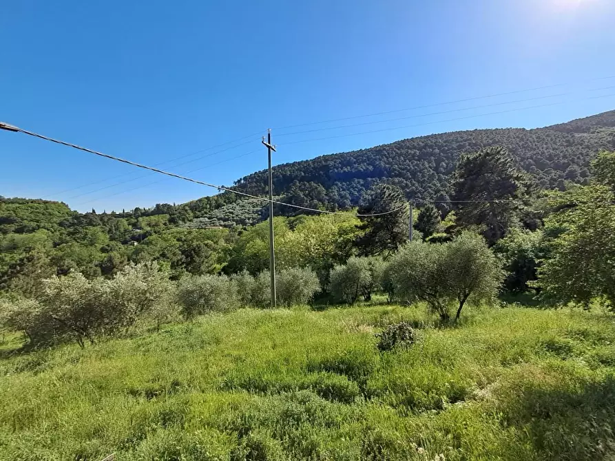 Immagine 12 di Rustico / casale in vendita  a Buti