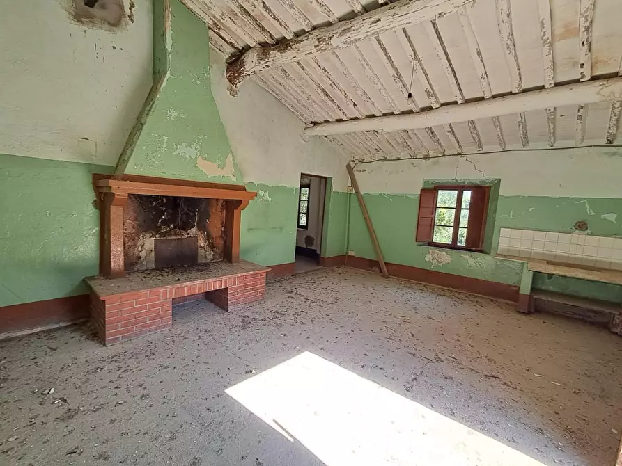 Immagine 13 di Rustico / casale in vendita  a Buti
