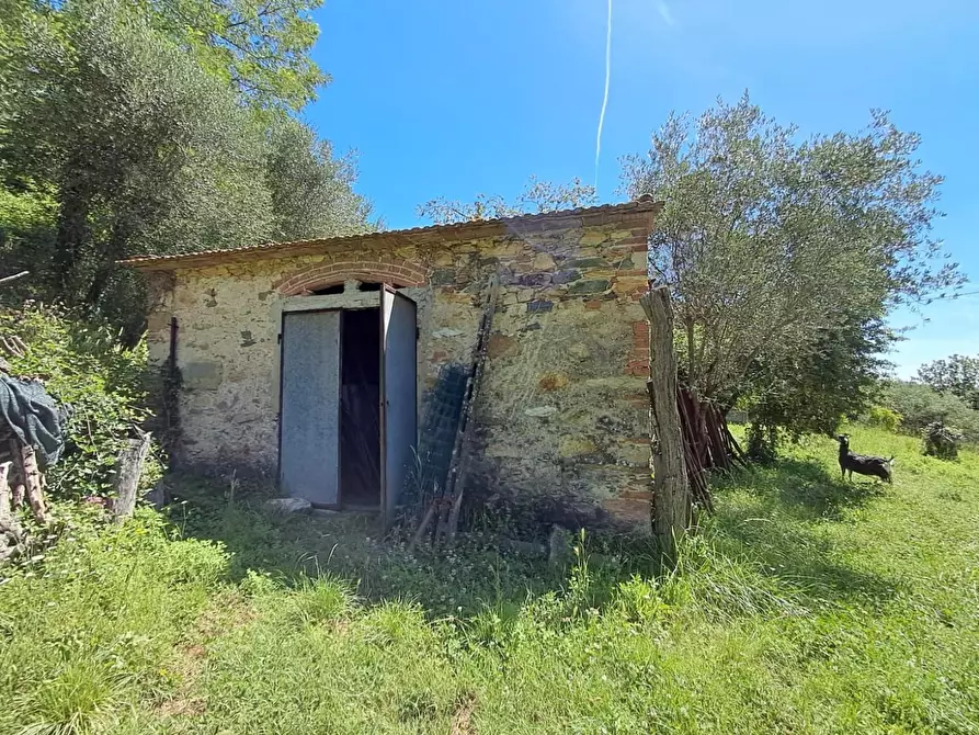 Immagine 28 di Rustico / casale in vendita  a Buti
