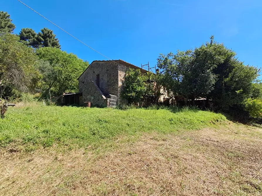 Immagine 6 di Rustico / casale in vendita  a Buti