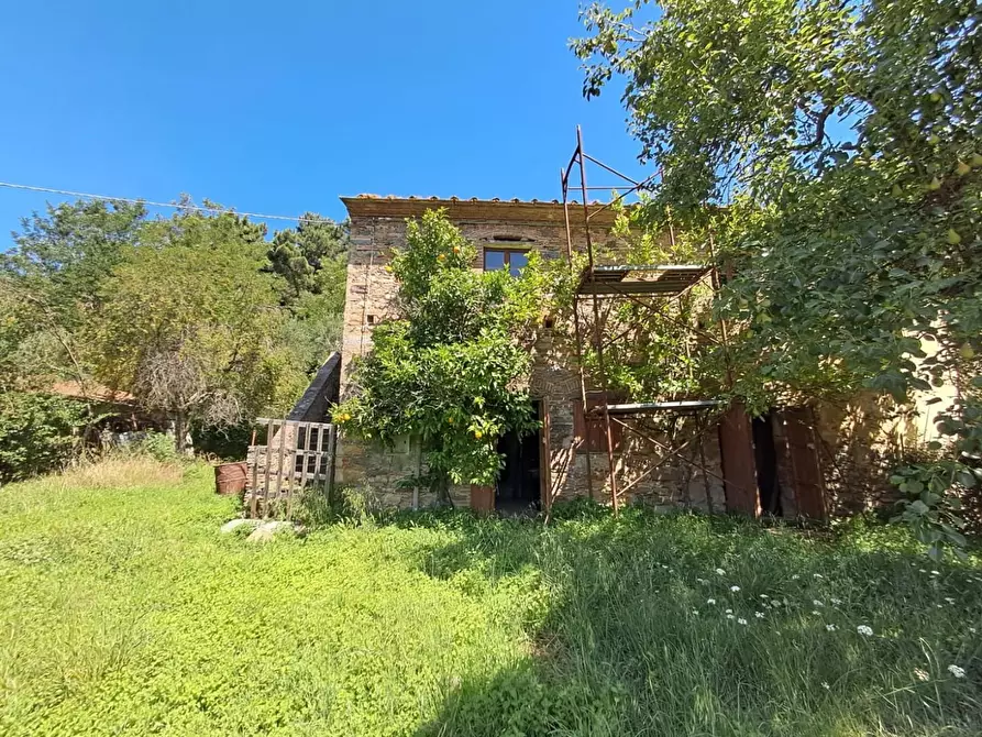 Immagine 1 di Rustico / casale in vendita  a Buti