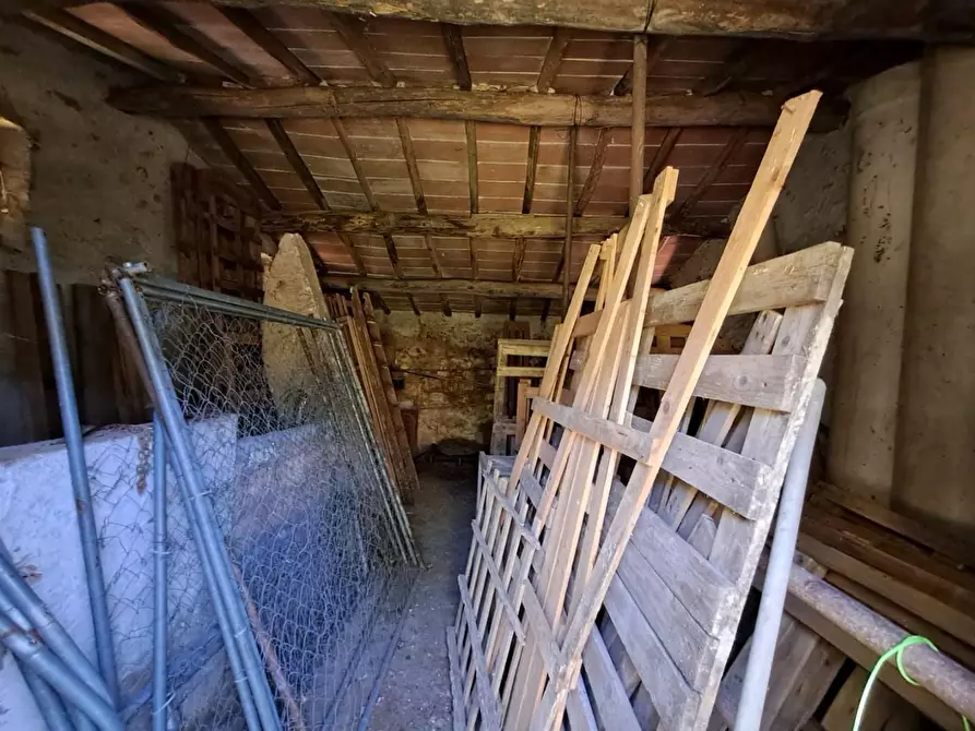 Immagine 29 di Rustico / casale in vendita  a Buti