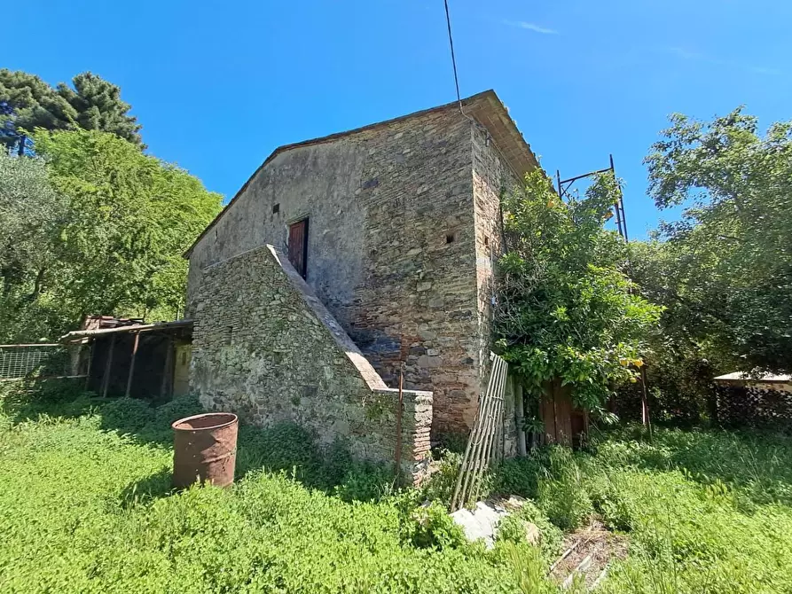 Immagine 4 di Rustico / casale in vendita  a Buti