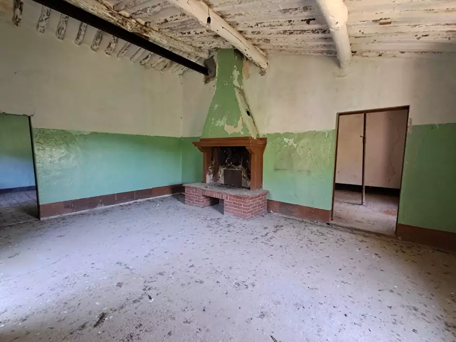 Immagine 15 di Rustico / casale in vendita  a Buti