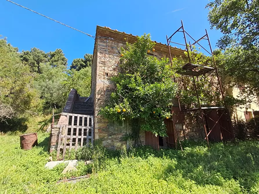 Immagine 3 di Rustico / casale in vendita  a Buti