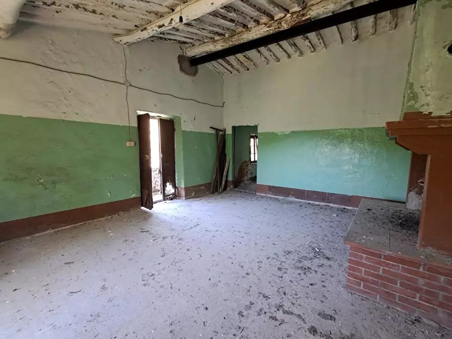 Immagine 16 di Rustico / casale in vendita  a Buti