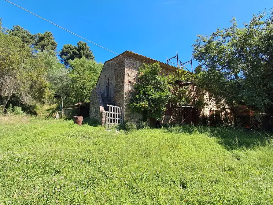 Immagine 5 di Rustico / casale in vendita  a Buti