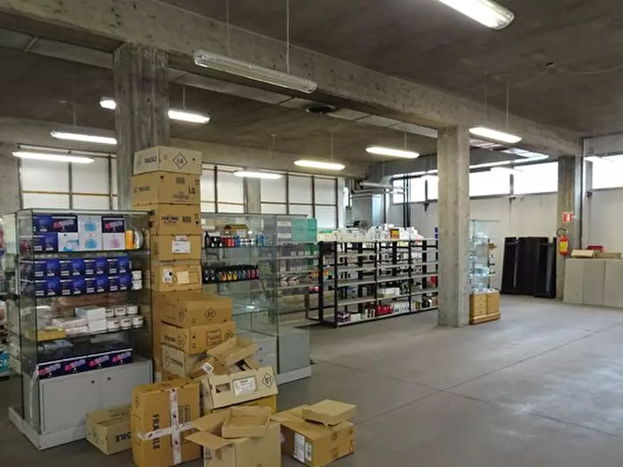 Immagine 4 di Capannone industriale in vendita  a Burolo