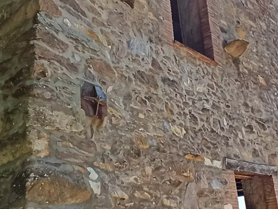 Immagine 23 di Terratetto in vendita  a Capannori