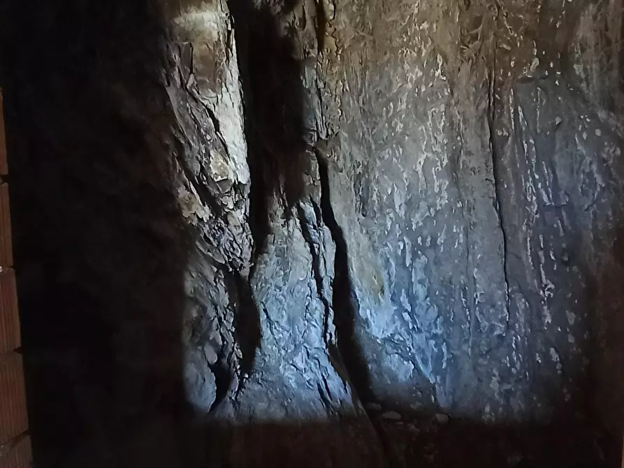 Immagine 9 di Terratetto in vendita  a Capannori