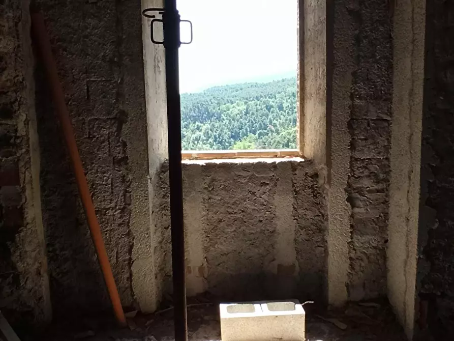 Immagine 18 di Terratetto in vendita  a Capannori