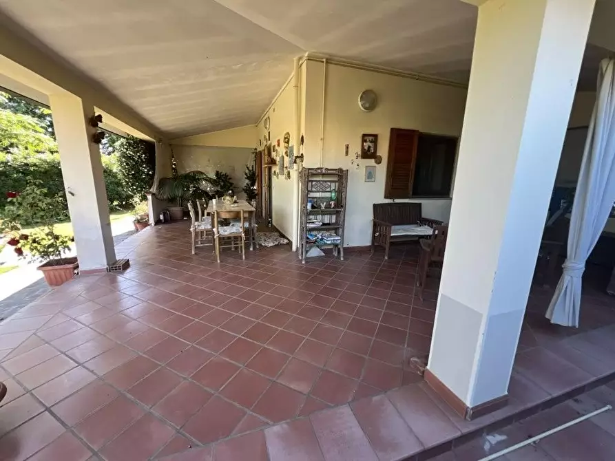 Immagine 3 di Appartamento in vendita  a Piombino