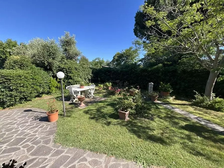 Immagine 8 di Appartamento in vendita  a Piombino