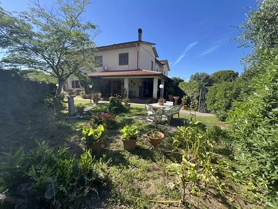 Immagine 6 di Appartamento in vendita  a Piombino