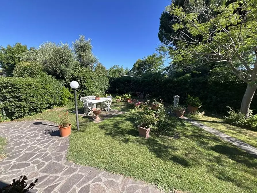 Immagine 7 di Appartamento in vendita  a Piombino