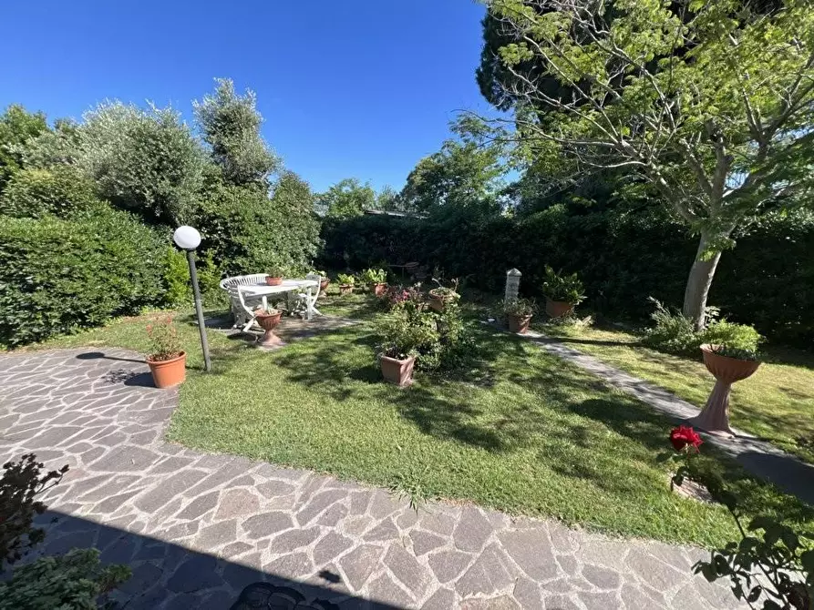 Immagine 4 di Appartamento in vendita  a Piombino