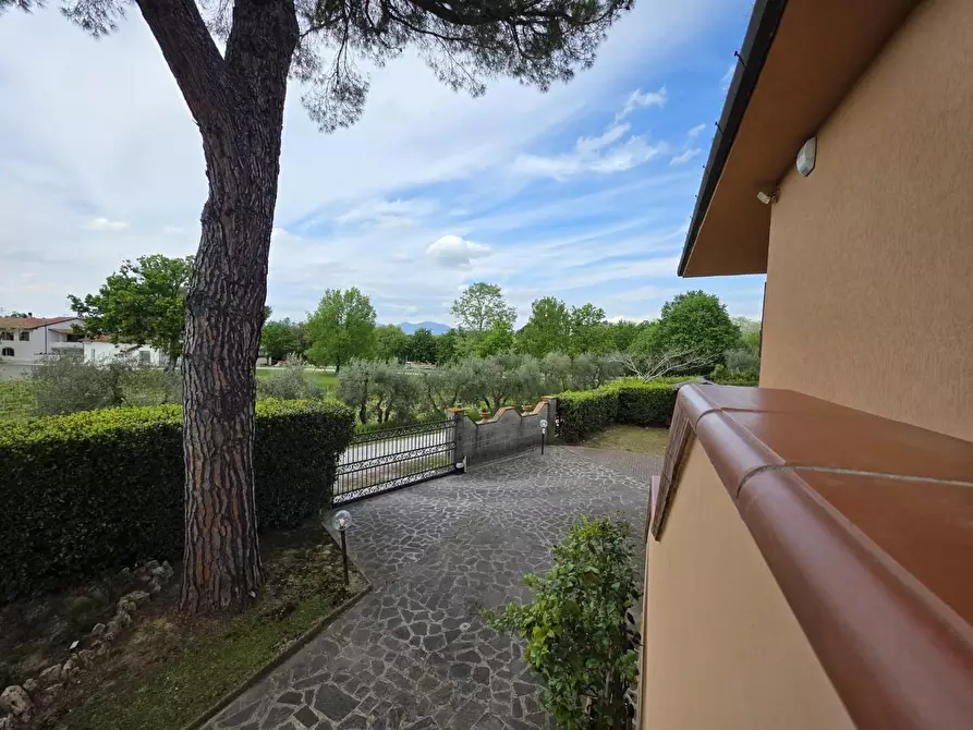 Immagine 11 di Villa in vendita  a Crespina Lorenzana