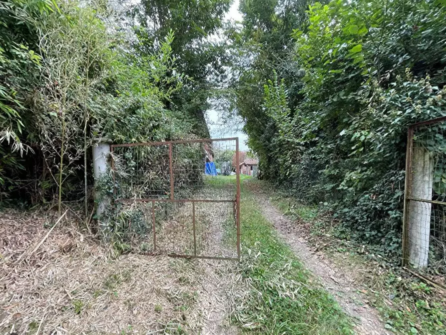 Immagine 2 di Casa indipendente in vendita  a San Sebastiano Da Po