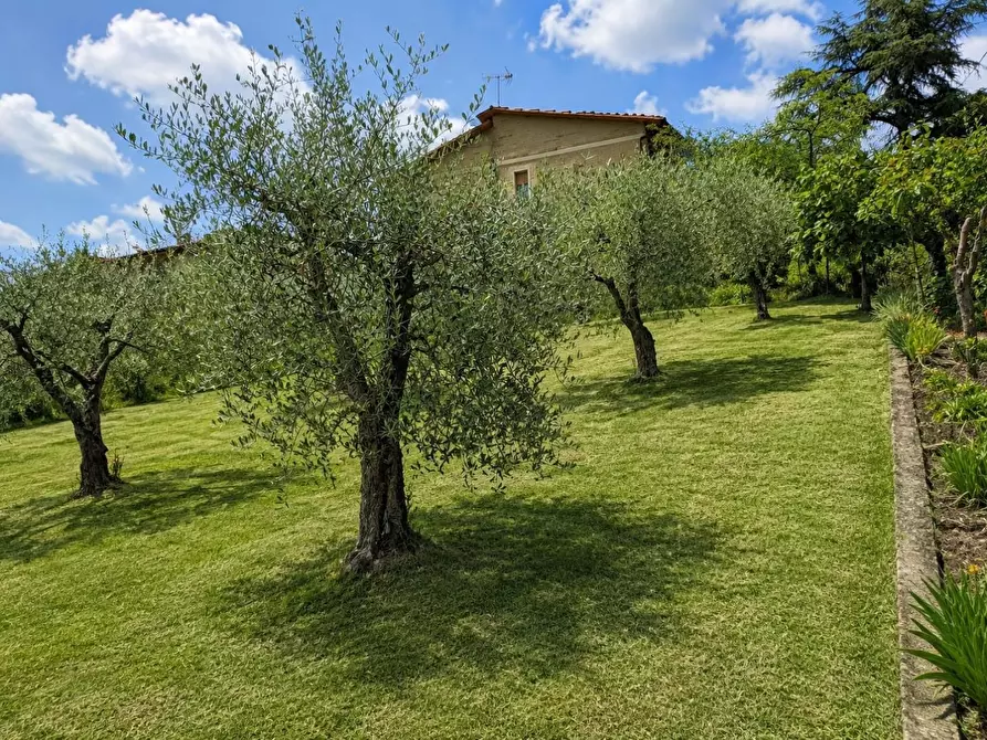 Immagine 3 di Villa in vendita  a Torrita Di Siena