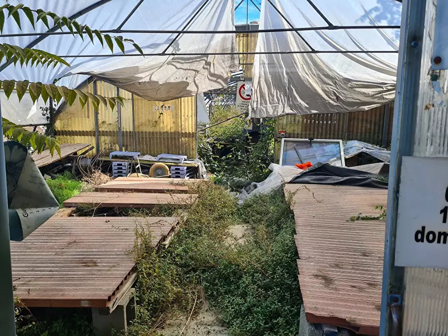 Immagine 6 di Appartamento in vendita  a Pinerolo