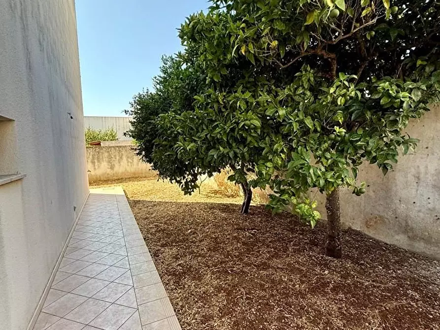 Immagine 8 di Casa indipendente in vendita  a Castrignano Del Capo