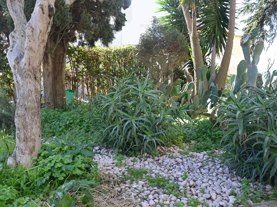 Immagine 14 di Casa bifamiliare in vendita  a Vecchiano