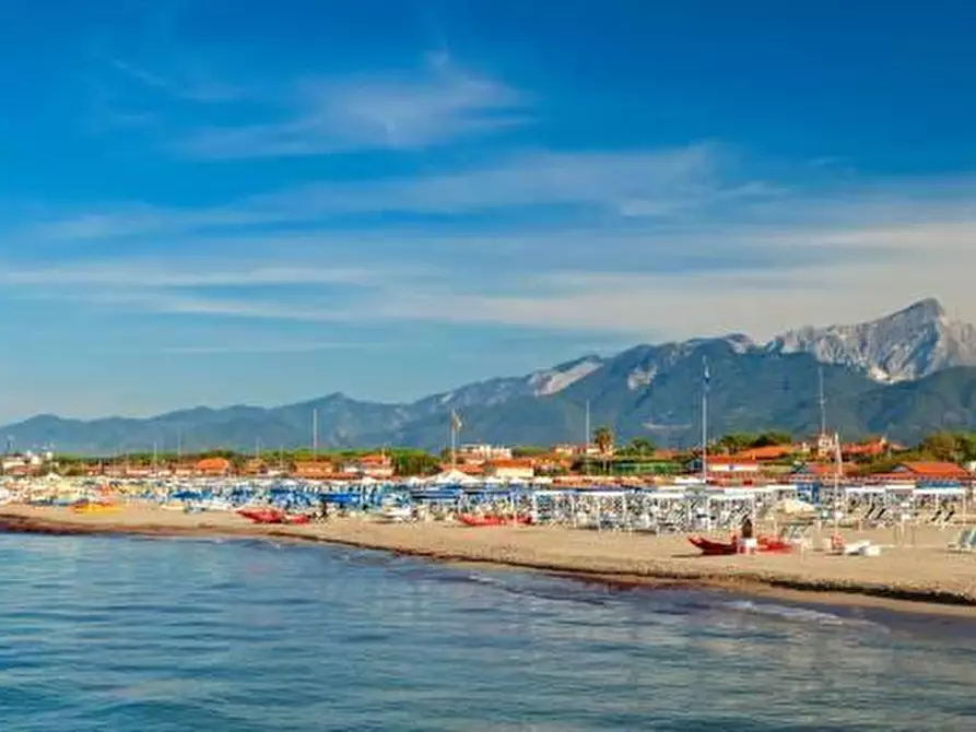 Immagine 25 di Villa in vendita  a Forte Dei Marmi