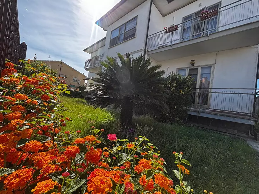 Immagine 5 di Casa bifamiliare in vendita  a Pisa