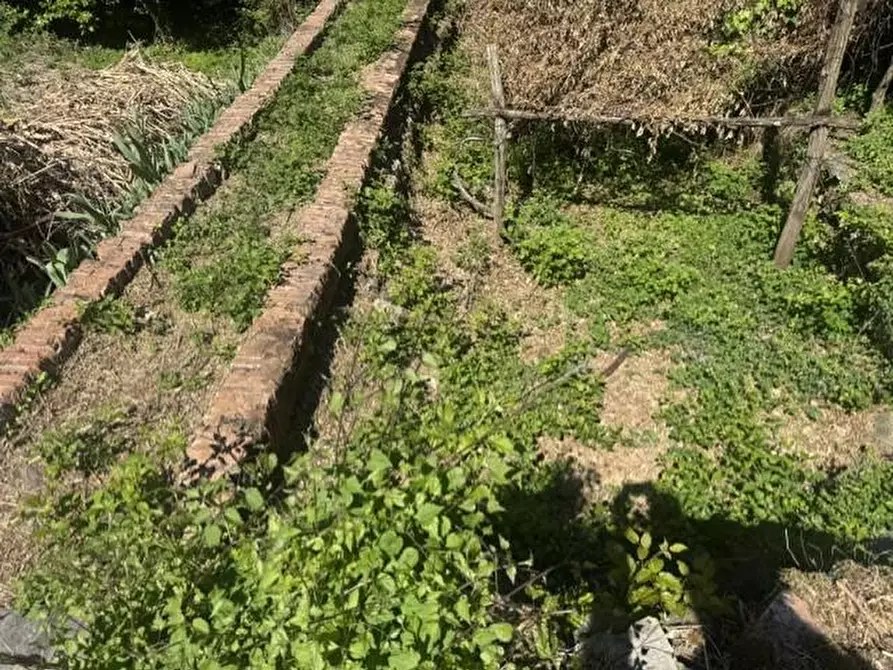 Immagine 10 di Casa colonica in vendita  a Calci