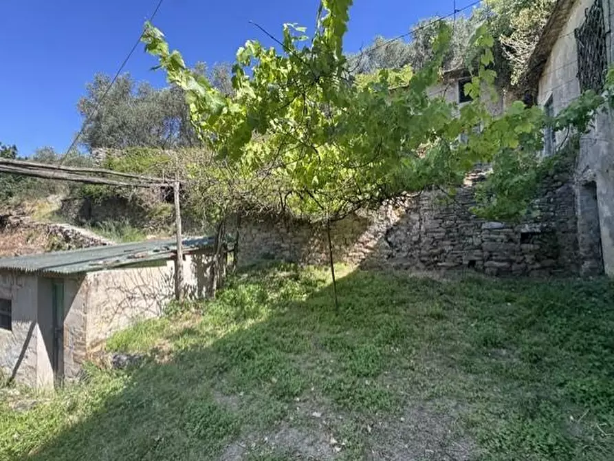 Immagine 8 di Casa colonica in vendita  a Calci