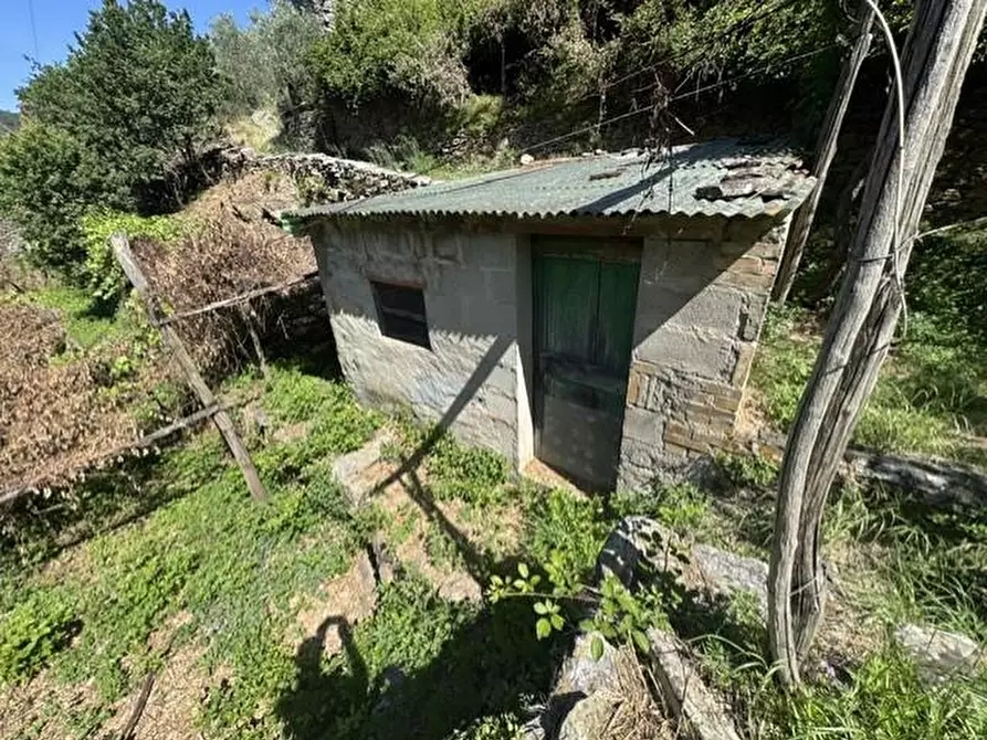 Immagine 3 di Casa colonica in vendita  a Calci