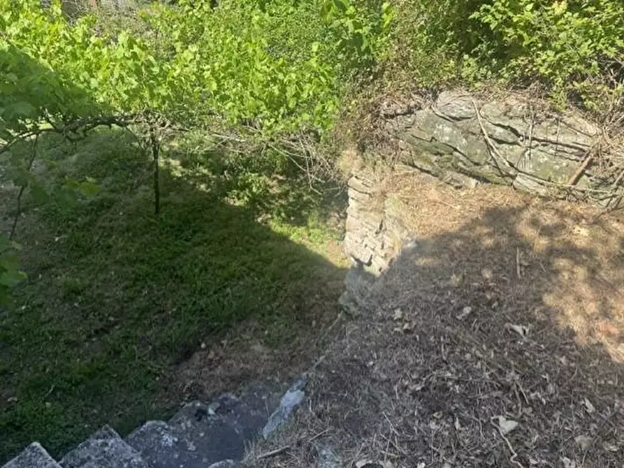 Immagine 4 di Casa colonica in vendita  a Calci