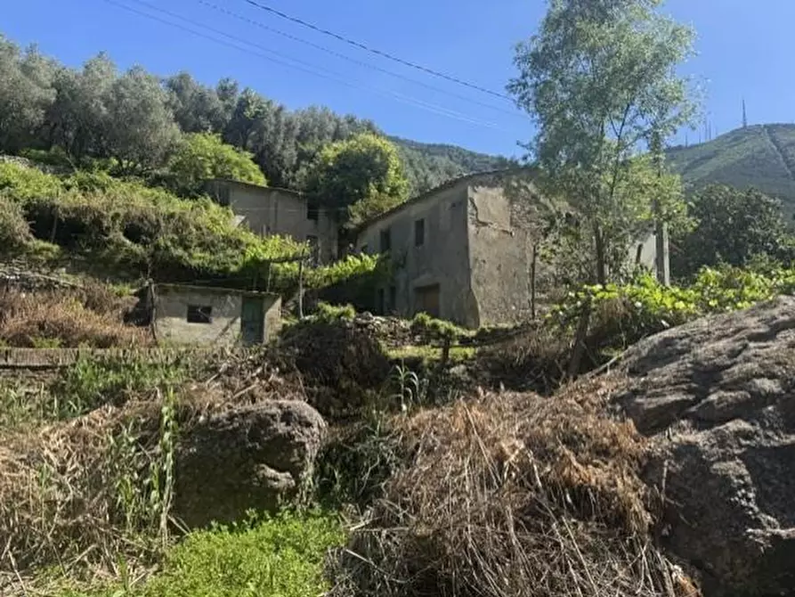 Immagine 2 di Casa colonica in vendita  a Calci
