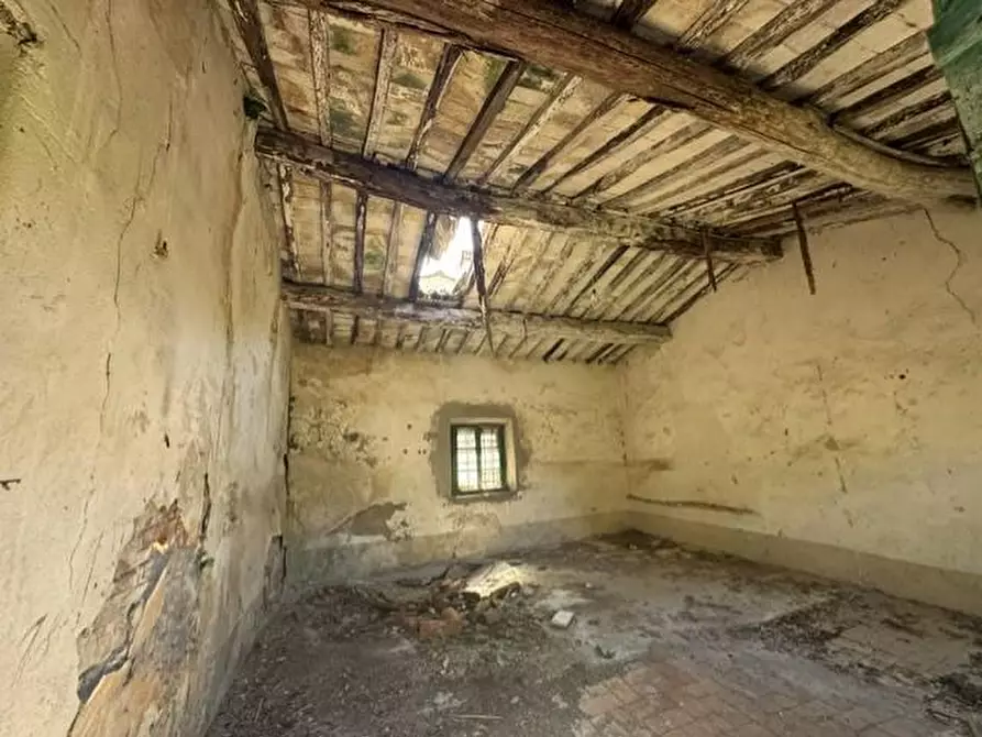 Immagine 9 di Casa colonica in vendita  a Calci