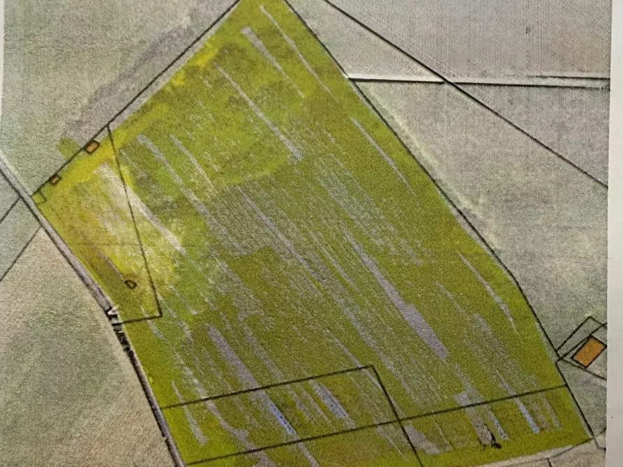 Immagine 2 di Terreno agricolo in vendita  a Vicopisano