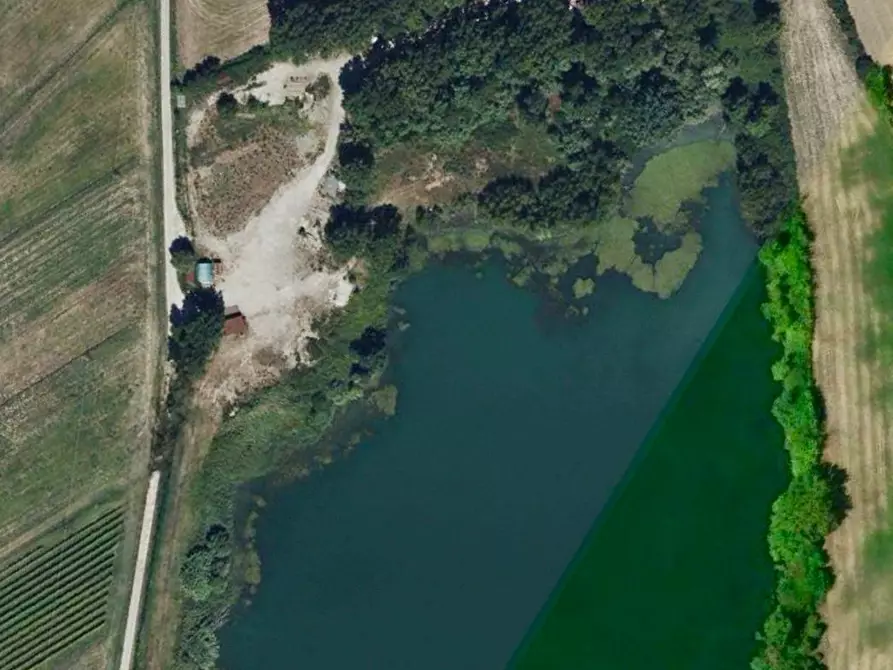Immagine 1 di Terreno agricolo in vendita  a Vicopisano