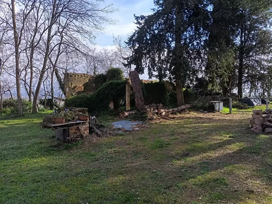 Immagine 6 di Rustico / casale in vendita  a Lajatico