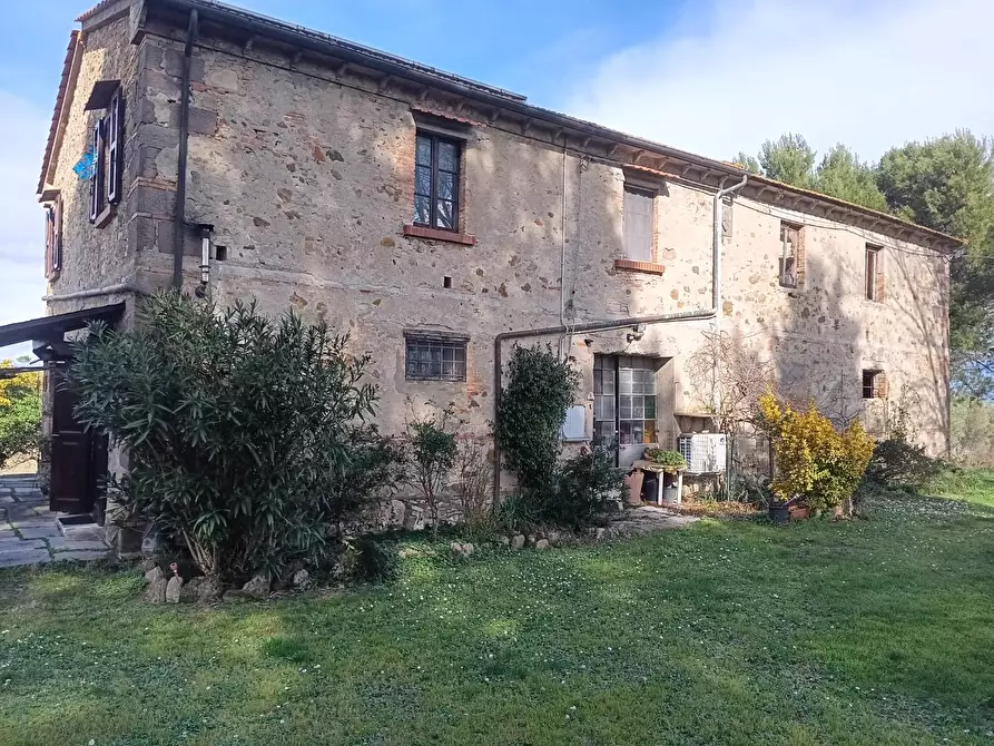 Immagine 1 di Rustico / casale in vendita  a Lajatico